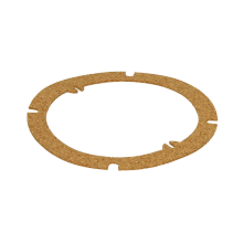 ARI998637 Flange Gasket