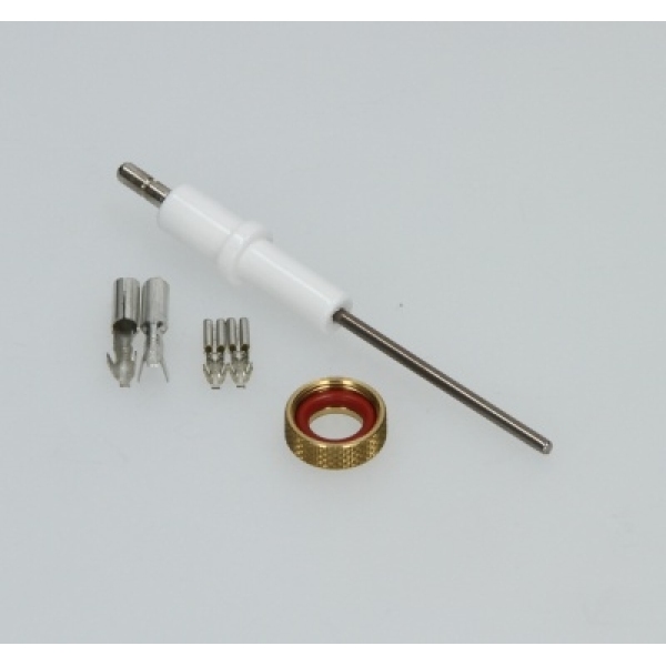 FER39806200 Electrode