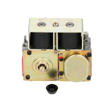 Gas Valve (Sit) 113057