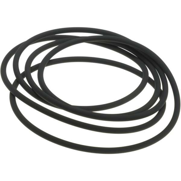 Intergas Viton Large Front Plate Seal