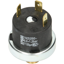 Rav0005Pre03010/0 Low Water Press Switch