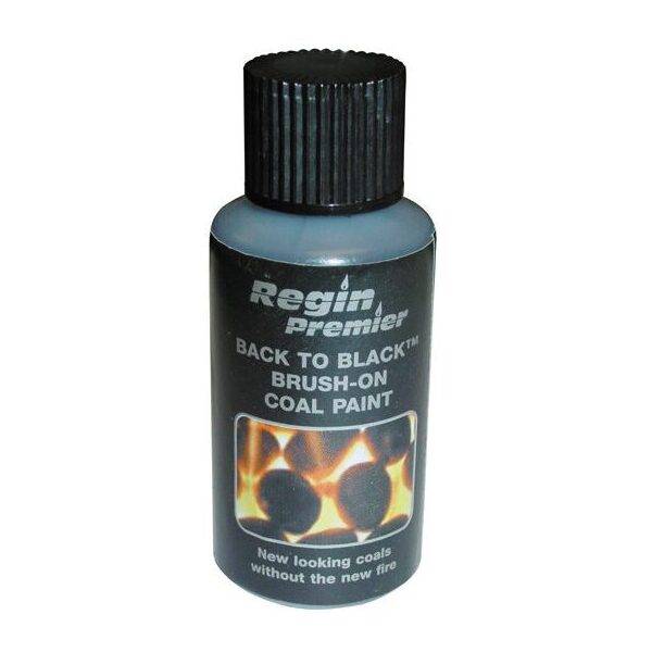 REGIN BACK TO BLACK' BRUSH-ON TOUCH-UP BOTTLE - 30ML REGZ66