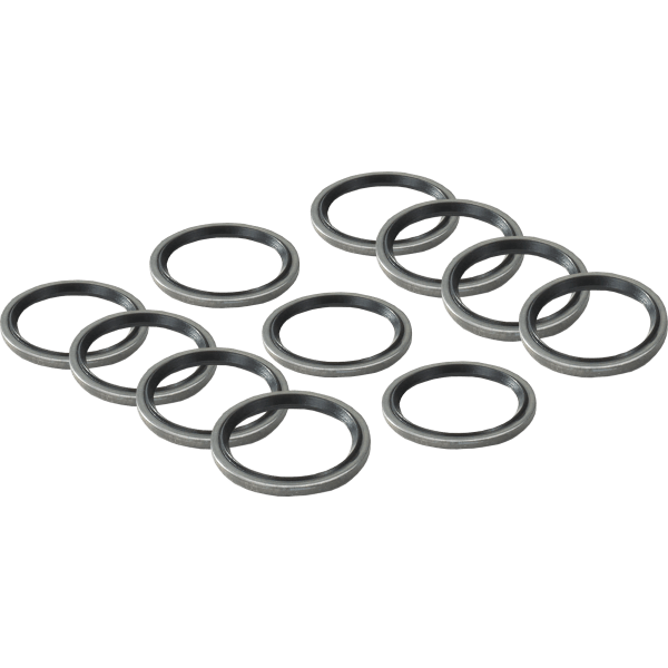 WOR87101031610 O RING PACK 10